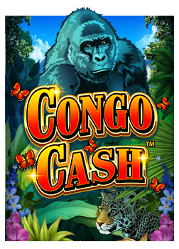 joker1888 ฝาก เงินบา คา ร่า ฝาก 50 ฟรี 100 น่าสนใจอย่างไร